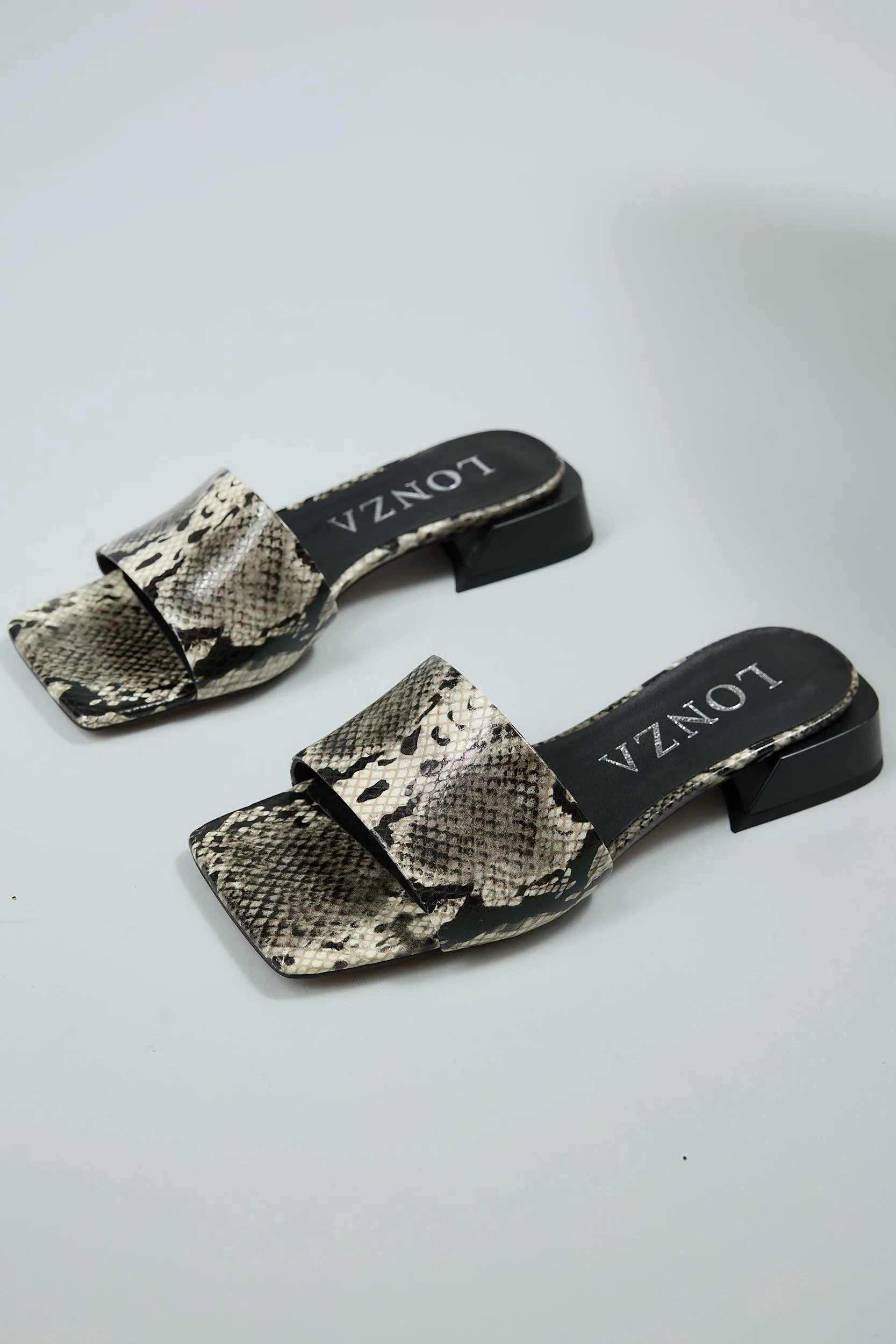 Snake Black
